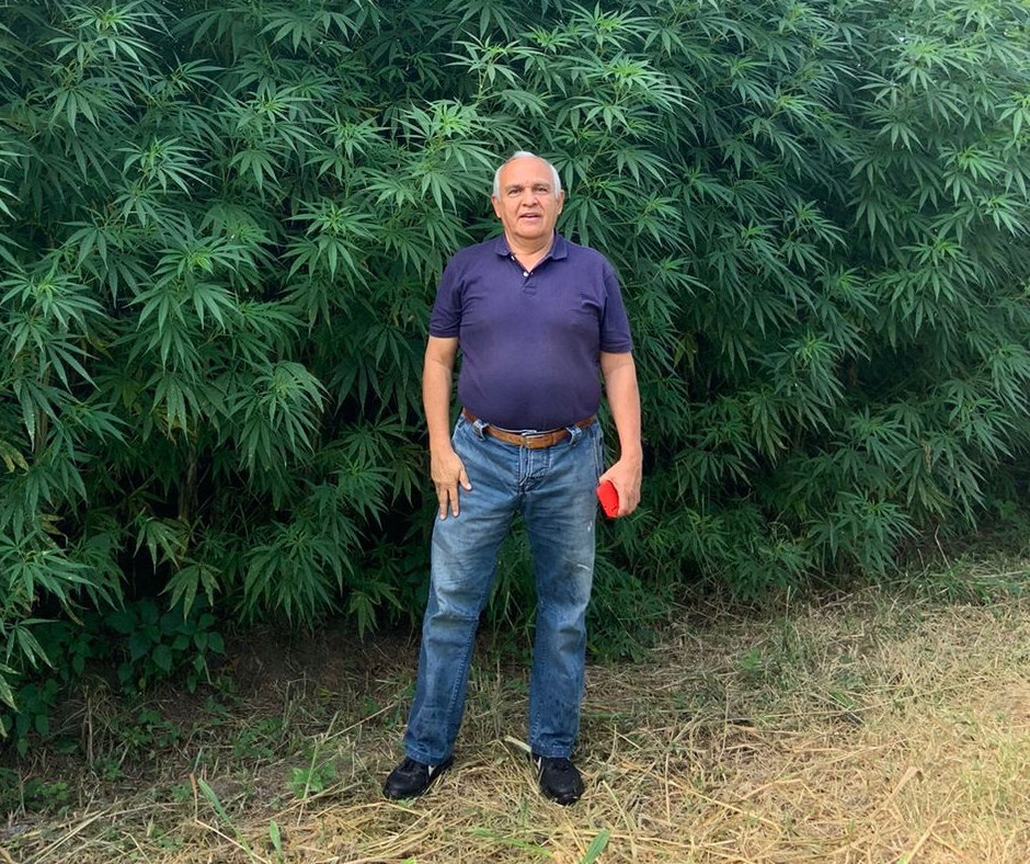 Jurassic Hemp p2
