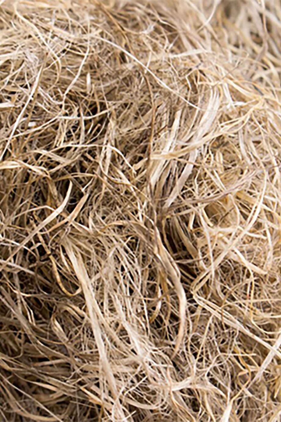 Coarse Fibre